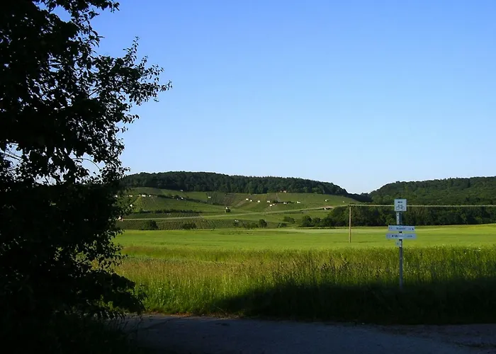 Zu Den Weinbergen Апартаменты